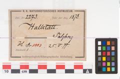 Etikett zu Eisenschwert (NHMW-PRAE-002273)